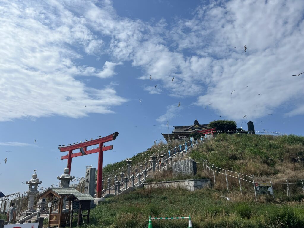 Day Trips from Tokyo: Seagull Shrine